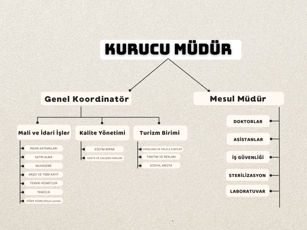 DOC organisational chart